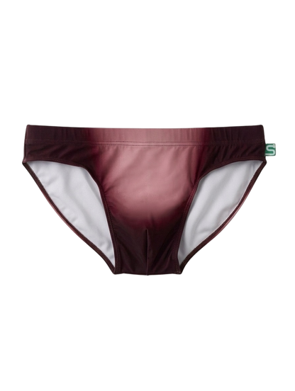 The Seaman Statement Brief