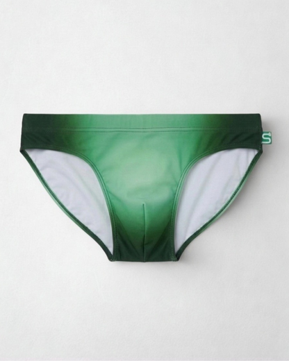 The Seaman Statement Brief