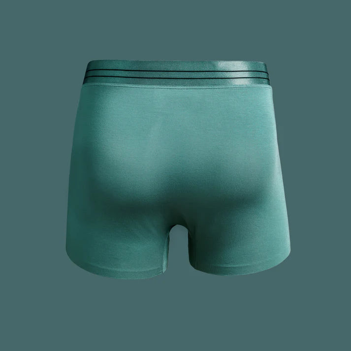 https://thepridestore.com/cdn/shop/files/underwear-green-back-1x1.webp?v=1700594795&width=1500